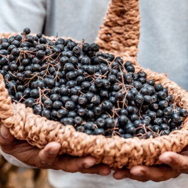 Ce este aronia și de ce este considerată un superaliment?